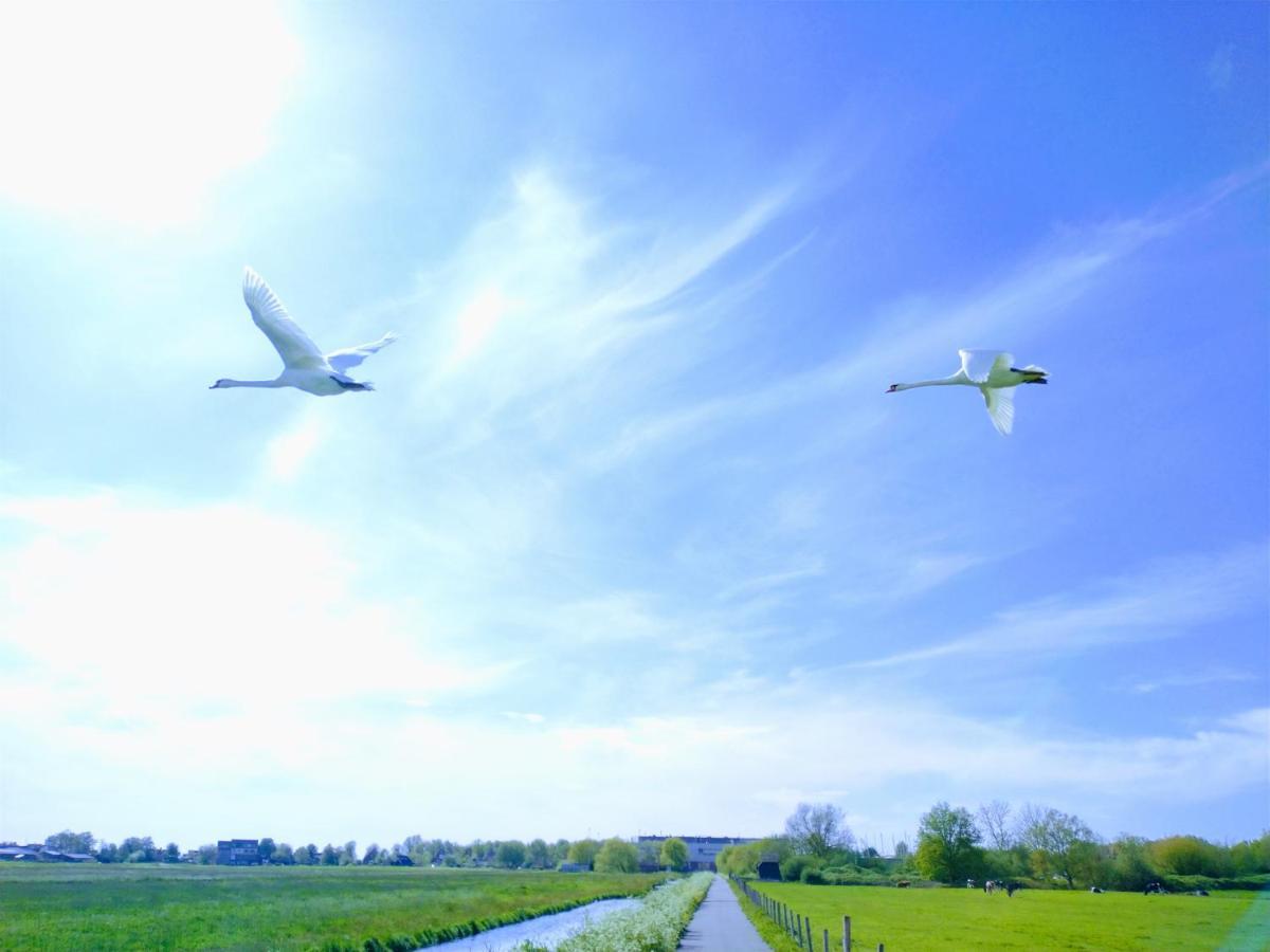 B&Bslapenopeeneiland Kaag ภายนอก รูปภาพ