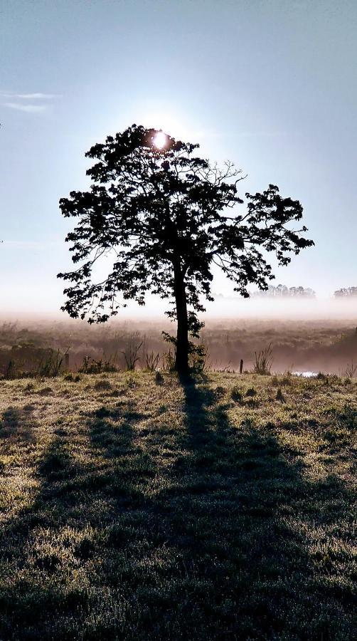 B&Bslapenopeeneiland Kaag ภายนอก รูปภาพ